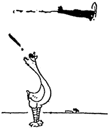 Charabón, de Gordon