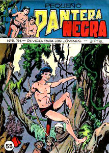 Pequeño Pantera Negra